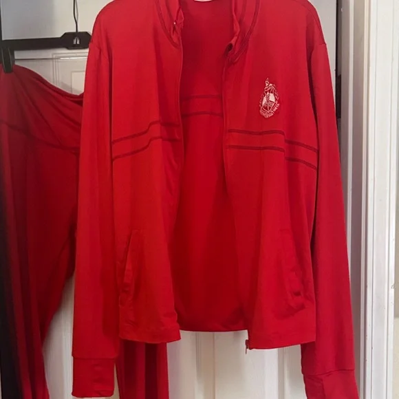 Delta Sigma Theta Legging Set - Picture 5 of 8